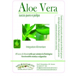 Aloe Puro Succo e Polpa 1lt in vari gusti